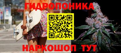 скорость Лесосибирск