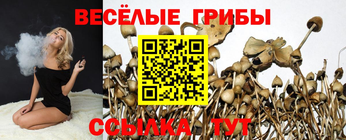 Галлюциногенные грибы Magic Shrooms Бузулук